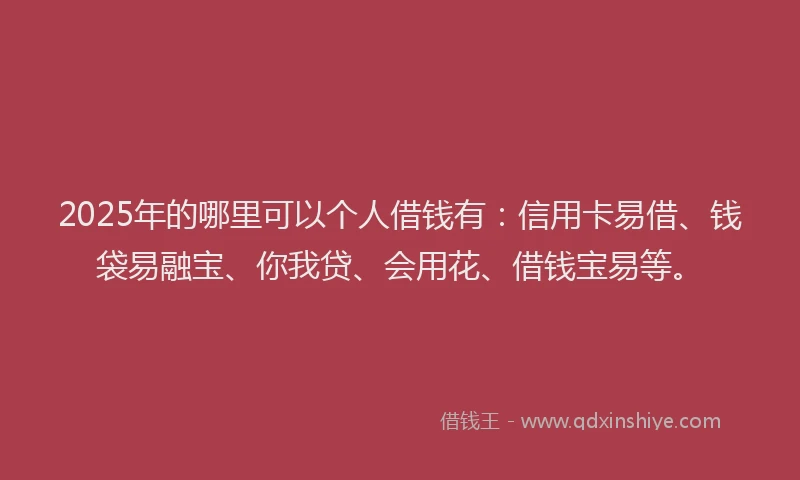 2025年的哪里可以个人借钱有：信用卡易借、钱袋易融宝、你我贷、会用花、借钱宝易等。