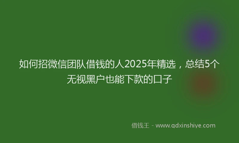 如何招微信团队借钱的人2025年精选，总结5个无视黑户也能下款的口子