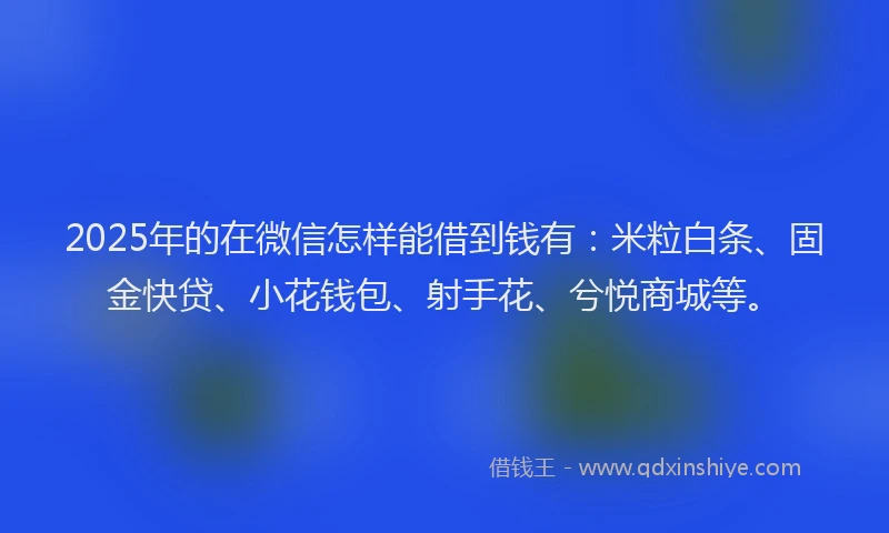 2025年的在微信怎样能借到钱有：米粒白条、固金快贷、小花钱包、射手花、兮悦商城等。