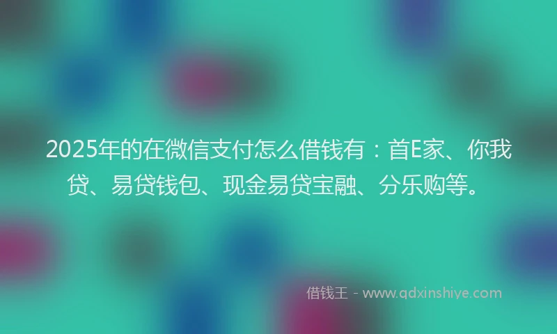 2025年的在微信支付怎么借钱有：首E家、你我贷、易贷钱包、现金易贷宝融、分乐购等。