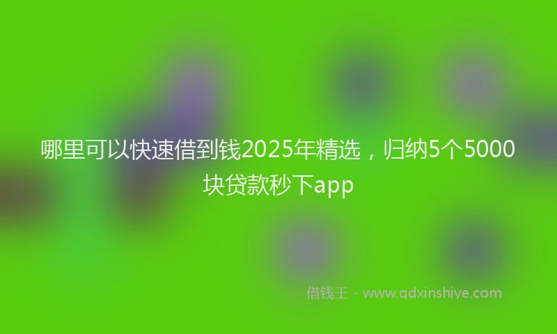 哪里可以快速借到钱2025年精选，归纳5个5000块贷款秒下app