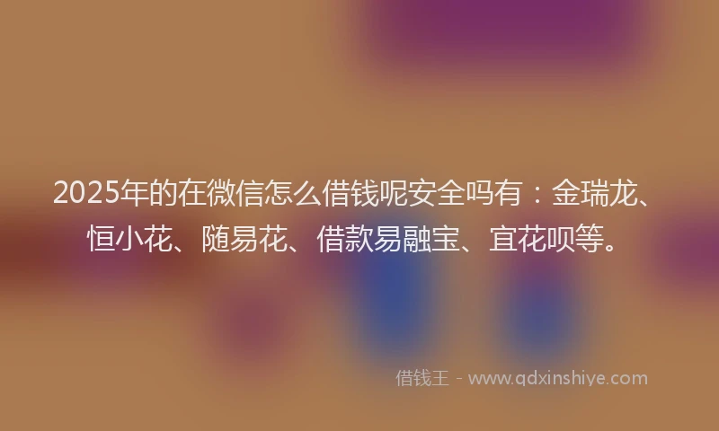 2025年的在微信怎么借钱呢安全吗有：金瑞龙、恒小花、随易花、借款易融宝、宜花呗等。