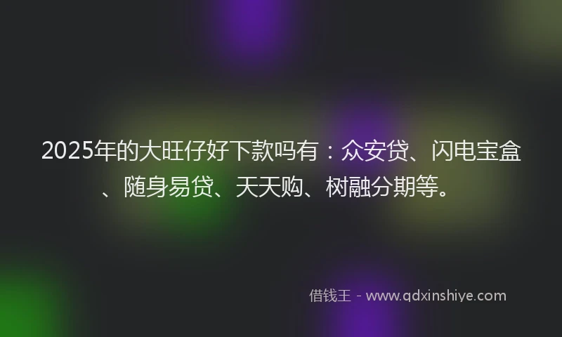 2025年的大旺仔好下款吗有：众安贷、闪电宝盒、随身易贷、天天购、树融分期等。