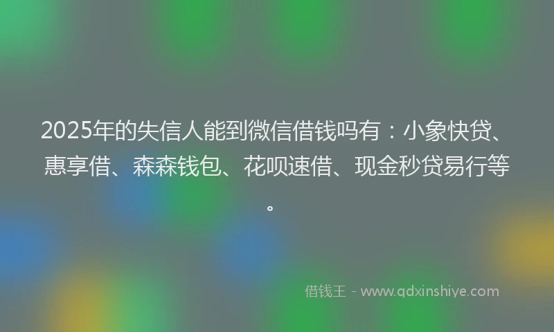 2025年的失信人能到微信借钱吗有：小象快贷、惠享借、森森钱包、花呗速借、现金秒贷易行等。