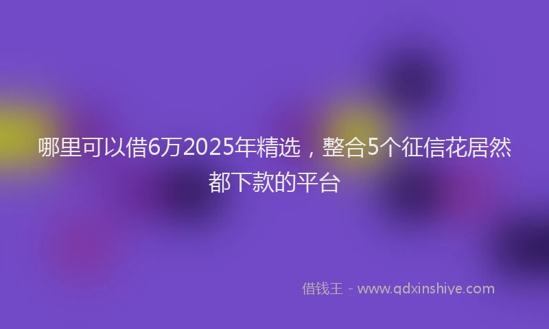 哪里可以借6万2025年精选，整合5个征信花居然都下款的平台