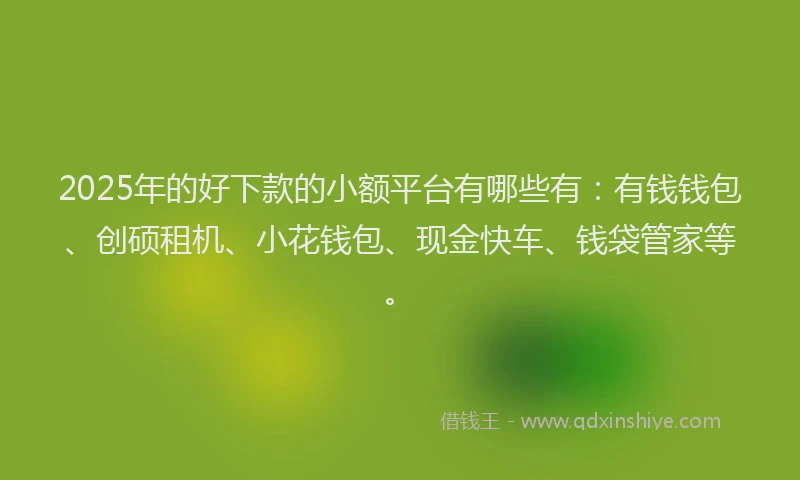 2025年的好下款的小额平台有哪些有：有钱钱包、创硕租机、小花钱包、现金快车、钱袋管家等。