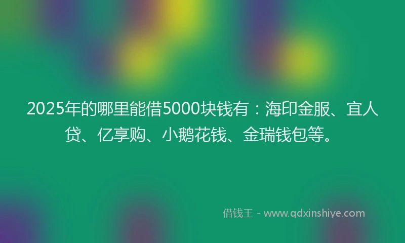 2025年的哪里能借5000块钱有：海印金服、宜人贷、亿享购、小鹅花钱、金瑞钱包等。