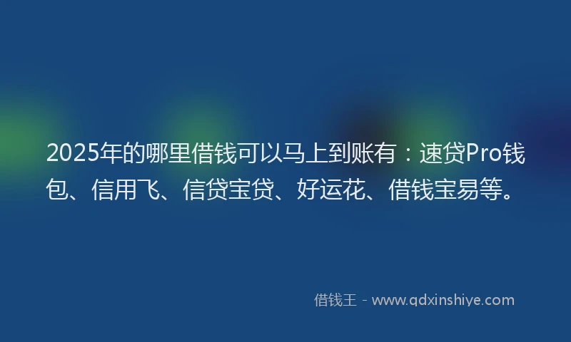 2025年的哪里借钱可以马上到账有：速贷Pro钱包、信用飞、信贷宝贷、好运花、借钱宝易等。