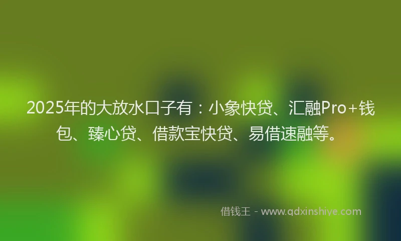 2025年的大放水口子有：小象快贷、汇融Pro+钱包、臻心贷、借款宝快贷、易借速融等。
