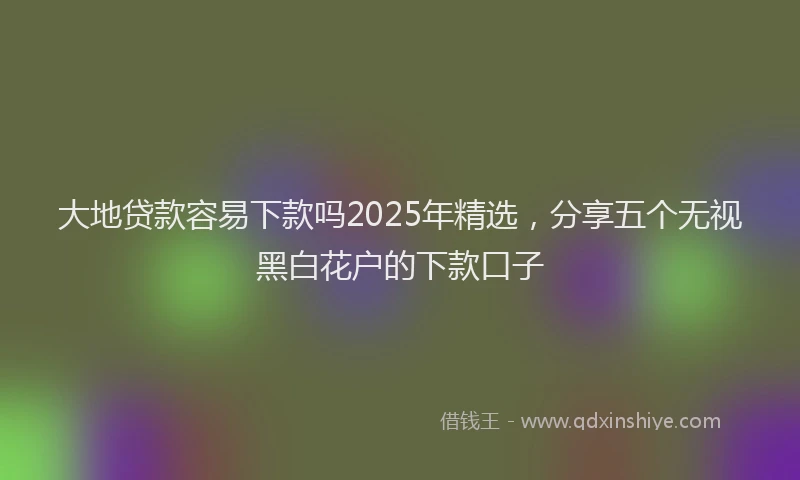 大地贷款容易下款吗2025年精选，分享五个无视黑白花户的下款口子