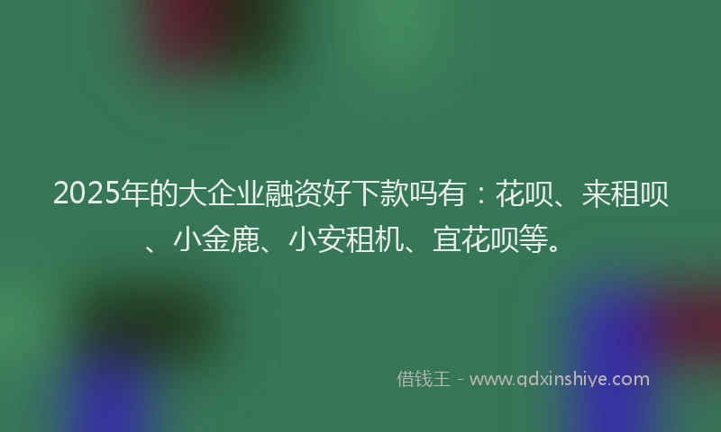 2025年的大企业融资好下款吗有：花呗、来租呗、小金鹿、小安租机、宜花呗等。