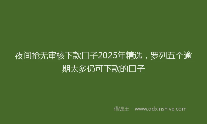 夜间抢无审核下款口子2025年精选，罗列五个逾期太多仍可下款的口子