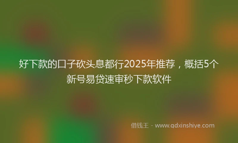 好下款的口子砍头息都行2025年推荐，概括5个新号易贷速审秒下款软件