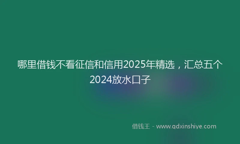 哪里借钱不看征信和信用2025年精选，汇总五个2024放水口子