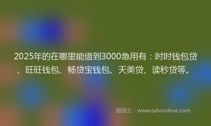 2025年的在哪里能借到3000急用有：时时钱包贷、旺旺钱包、畅贷宝钱包、天美贷、读秒贷等。