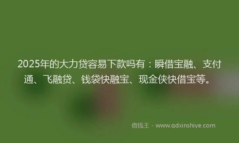 2025年的大力贷容易下款吗有：瞬借宝融、支付通、飞融贷、钱袋快融宝、现金侠快借宝等。