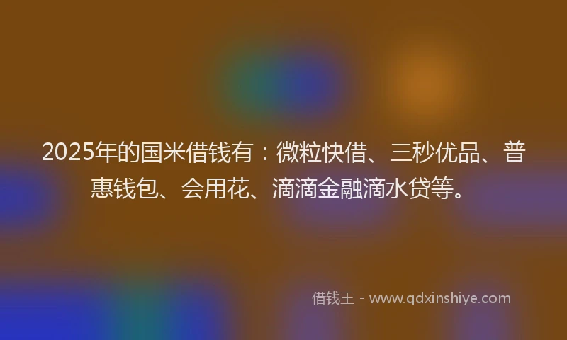 2025年的国米借钱有：微粒快借、三秒优品、普惠钱包、会用花、滴滴金融滴水贷等。