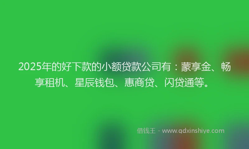 2025年的好下款的小额贷款公司有：蒙享金、畅享租机、星辰钱包、惠商贷、闪贷通等。
