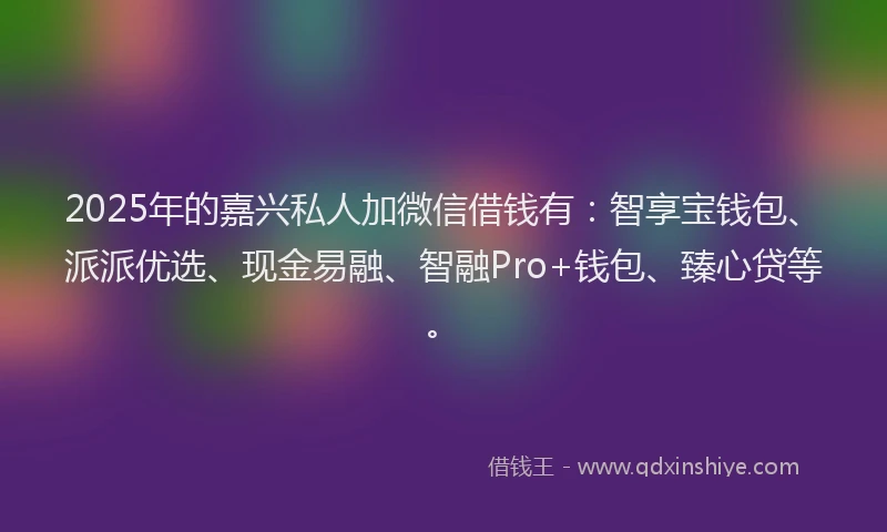 2025年的嘉兴私人加微信借钱有：智享宝钱包、派派优选、现金易融、智融Pro+钱包、臻心贷等。