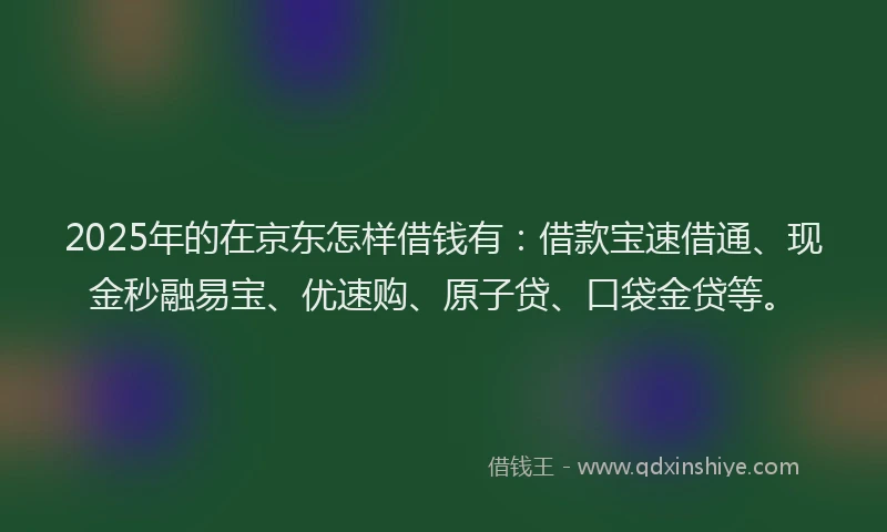 2025年的在京东怎样借钱有：借款宝速借通、现金秒融易宝、优速购、原子贷、口袋金贷等。