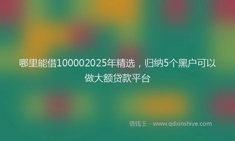 哪里能借100002025年精选，归纳5个黑户可以做大额贷款平台