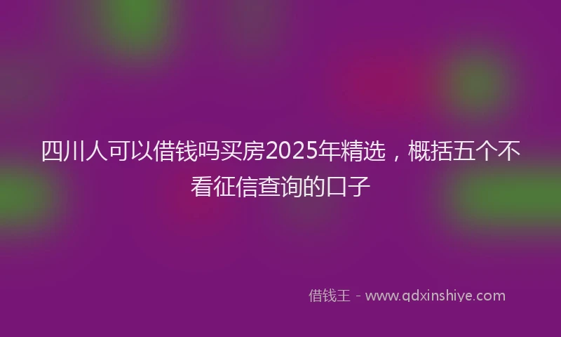 四川人可以借钱吗买房2025年精选，概括五个不看征信查询的口子