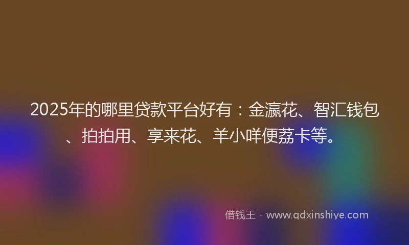 2025年的哪里贷款平台好有：金瀛花、智汇钱包、拍拍用、享来花、羊小咩便荔卡等。