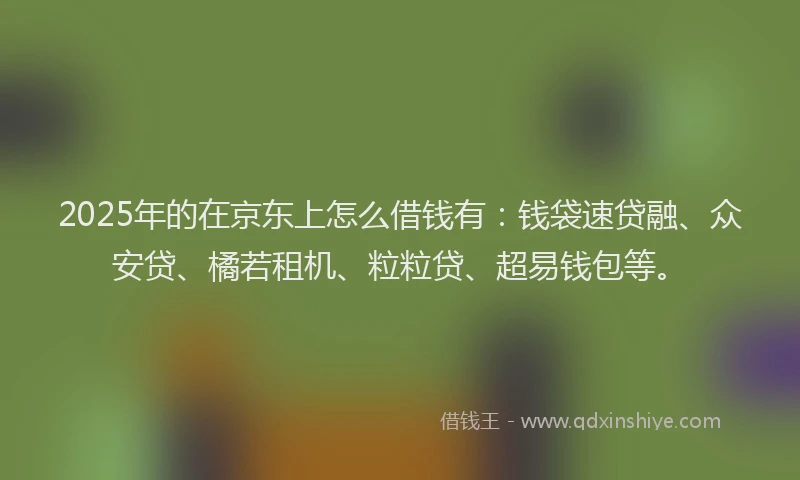 2025年的在京东上怎么借钱有：钱袋速贷融、众安贷、橘若租机、粒粒贷、超易钱包等。