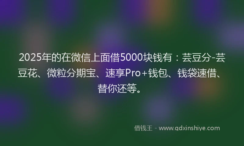 2025年的在微信上面借5000块钱有：芸豆分-芸豆花、微粒分期宝、速享Pro+钱包、钱袋速借、替你还等。