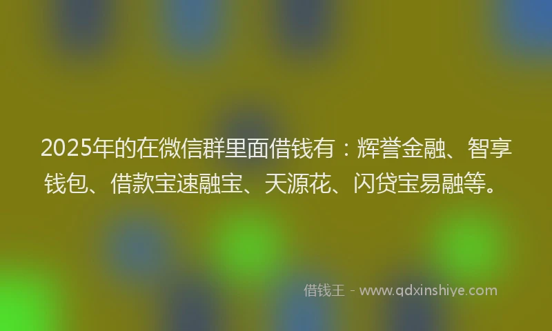 2025年的在微信群里面借钱有：辉誉金融、智享钱包、借款宝速融宝、天源花、闪贷宝易融等。
