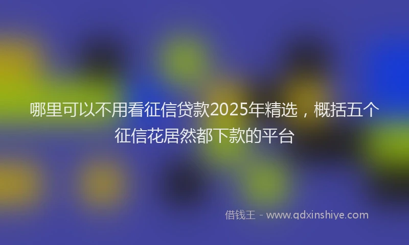哪里可以不用看征信贷款2025年精选，概括五个征信花居然都下款的平台