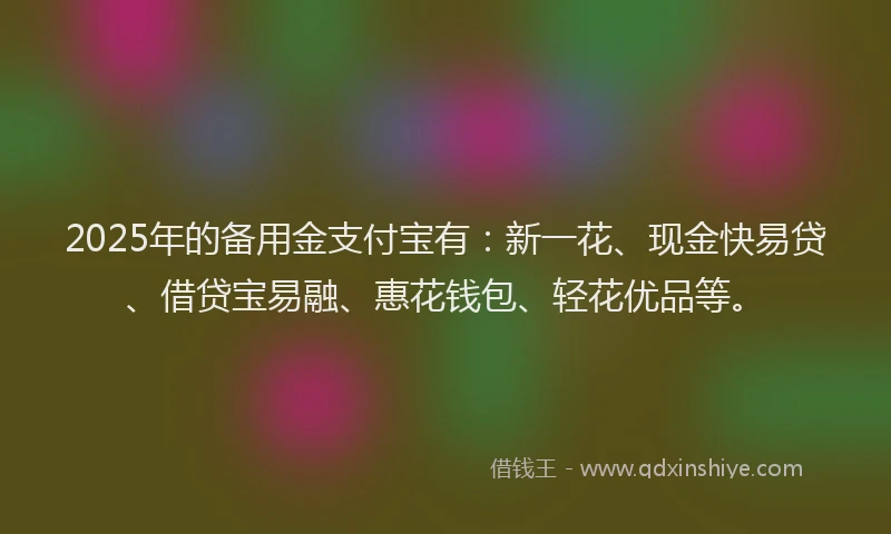 2025年的备用金支付宝有：新一花、现金快易贷、借贷宝易融、惠花钱包、轻花优品等。