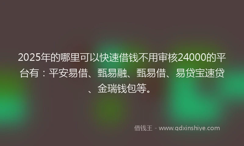 2025年的哪里可以快速借钱不用审核24000的平台有：平安易借、甄易融、甄易借、易贷宝速贷、金瑞钱包等。