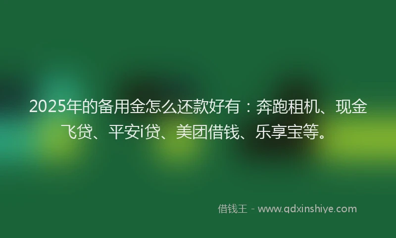 2025年的备用金怎么还款好有：奔跑租机、现金飞贷、平安i贷、美团借钱、乐享宝等。