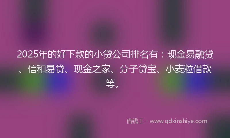 2025年的好下款的小贷公司排名有：现金易融贷、信和易贷、现金之家、分子贷宝、小麦粒借款等。