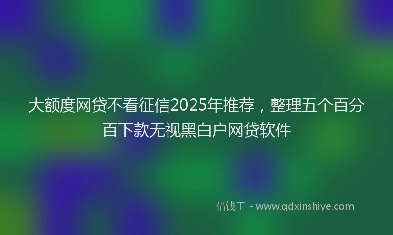 大额度网贷不看征信2025年推荐，整理五个百分百下款无视黑白户网贷软件