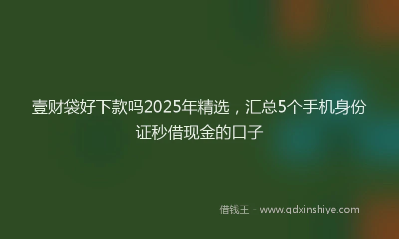 壹财袋好下款吗2025年精选，汇总5个手机身份证秒借现金的口子