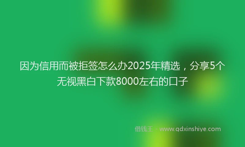 因为信用而被拒签怎么办2025年精选，分享5个无视黑白下款8000左右的口子