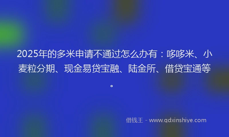 2025年的多米申请不通过怎么办有：哆哆米、小麦粒分期、现金易贷宝融、陆金所、借贷宝通等。