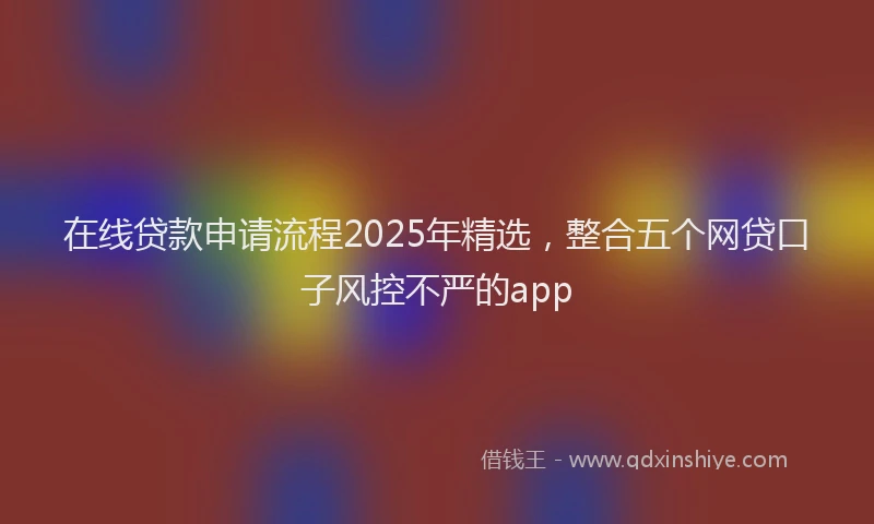 在线贷款申请流程2025年精选，整合五个网贷口子风控不严的app