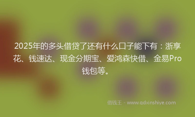 2025年的多头借贷了还有什么口子能下有：浙享花、钱速达、现金分期宝、爱鸿森快借、金易Pro钱包等。