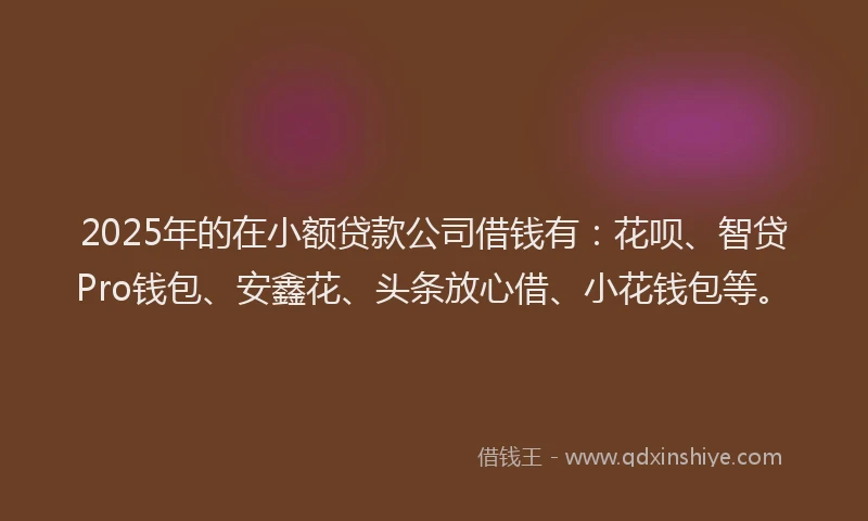 2025年的在小额贷款公司借钱有：花呗、智贷Pro钱包、安鑫花、头条放心借、小花钱包等。