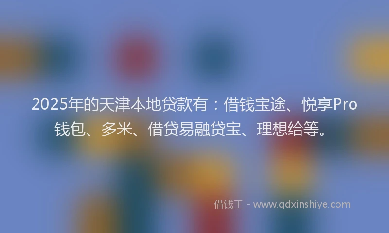 2025年的天津本地贷款有：借钱宝途、悦享Pro钱包、多米、借贷易融贷宝、理想给等。
