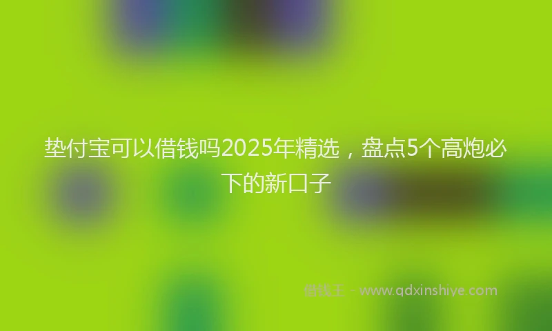 垫付宝可以借钱吗2025年精选，盘点5个高炮必下的新口子