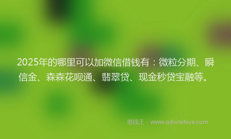 2025年的哪里可以加微信借钱有：微粒分期、瞬信金、森森花呗通、翡翠贷、现金秒贷宝融等。