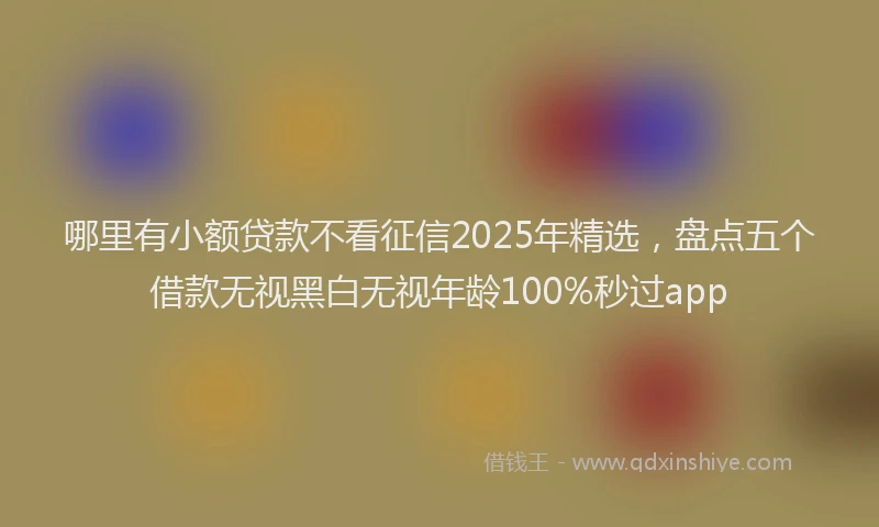 哪里有小额贷款不看征信2025年精选，盘点五个借款无视黑白无视年龄100%秒过app