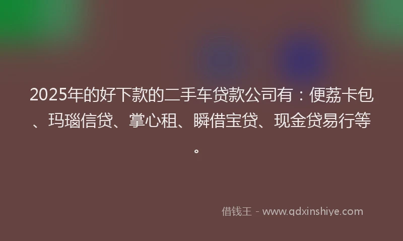 2025年的好下款的二手车贷款公司有：便荔卡包、玛瑙信贷、掌心租、瞬借宝贷、现金贷易行等。