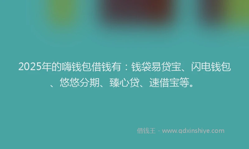 2025年的嗨钱包借钱有：钱袋易贷宝、闪电钱包、悠悠分期、臻心贷、速借宝等。