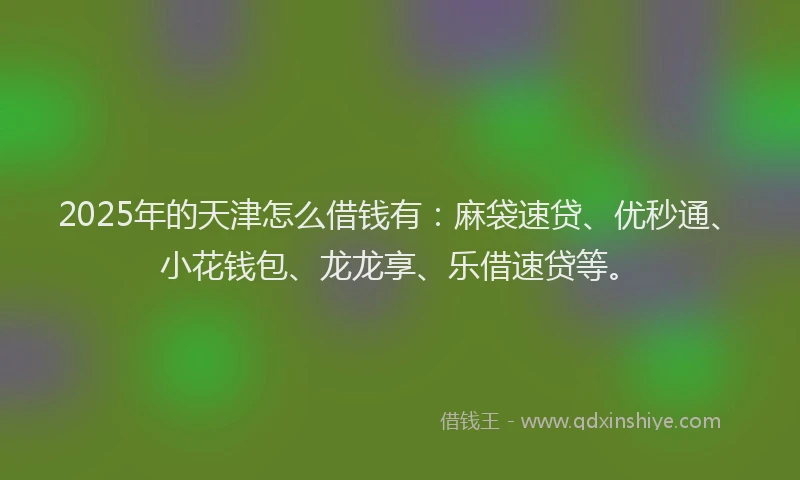 2025年的天津怎么借钱有：麻袋速贷、优秒通、小花钱包、龙龙享、乐借速贷等。