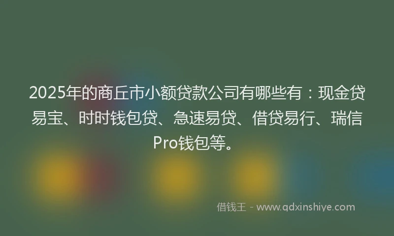 2025年的商丘市小额贷款公司有哪些有：现金贷易宝、时时钱包贷、急速易贷、借贷易行、瑞信Pro钱包等。